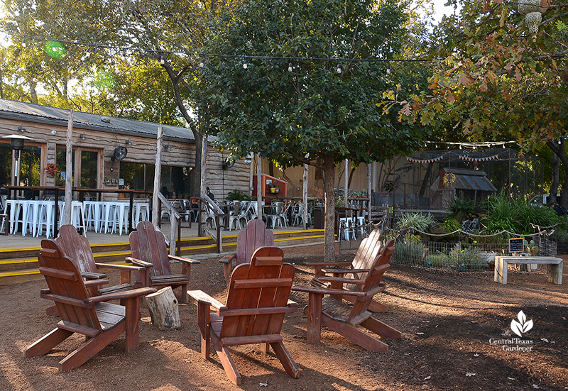 Cosmic Coffee + Beer Garden patio pond