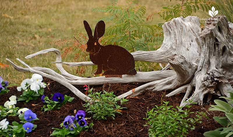 bunny sculpture cedar limb berm design Julie Nelson Kay Angermann garden Central Texas Gardener