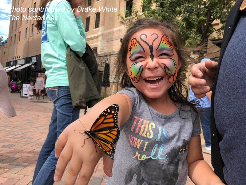 child with Monarch butterfly Monarch Butterfly and Pollinator Festival