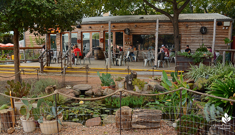 Texas Ponds and Water features pond on Cosmic Coffee + Beer Garden patio 