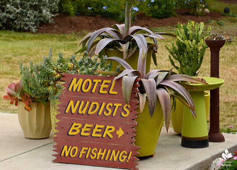 funny motel spoof sign container plants setting Julie Nelson Kay Angermann garden