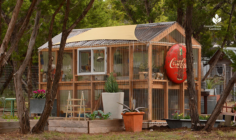 greenhouse under cedar trees mountain junipers Julie Nelson Kay Angermann garden