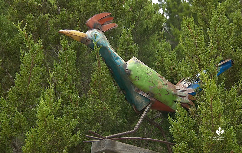 road runner statue Katie Bird Farm Julie Nelson Kay Angermann Central Texas Gardener