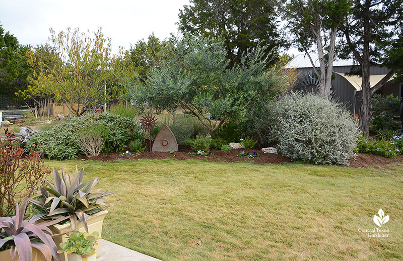 screening berm trees silver germander perennials garden art Julie Nelson Kay Angermann Central Texas Gardener