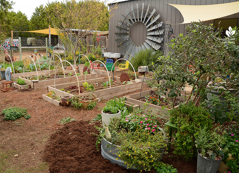 Raised vegetable beds salvaged windmill garden art Julie Nelson Kay Angermann