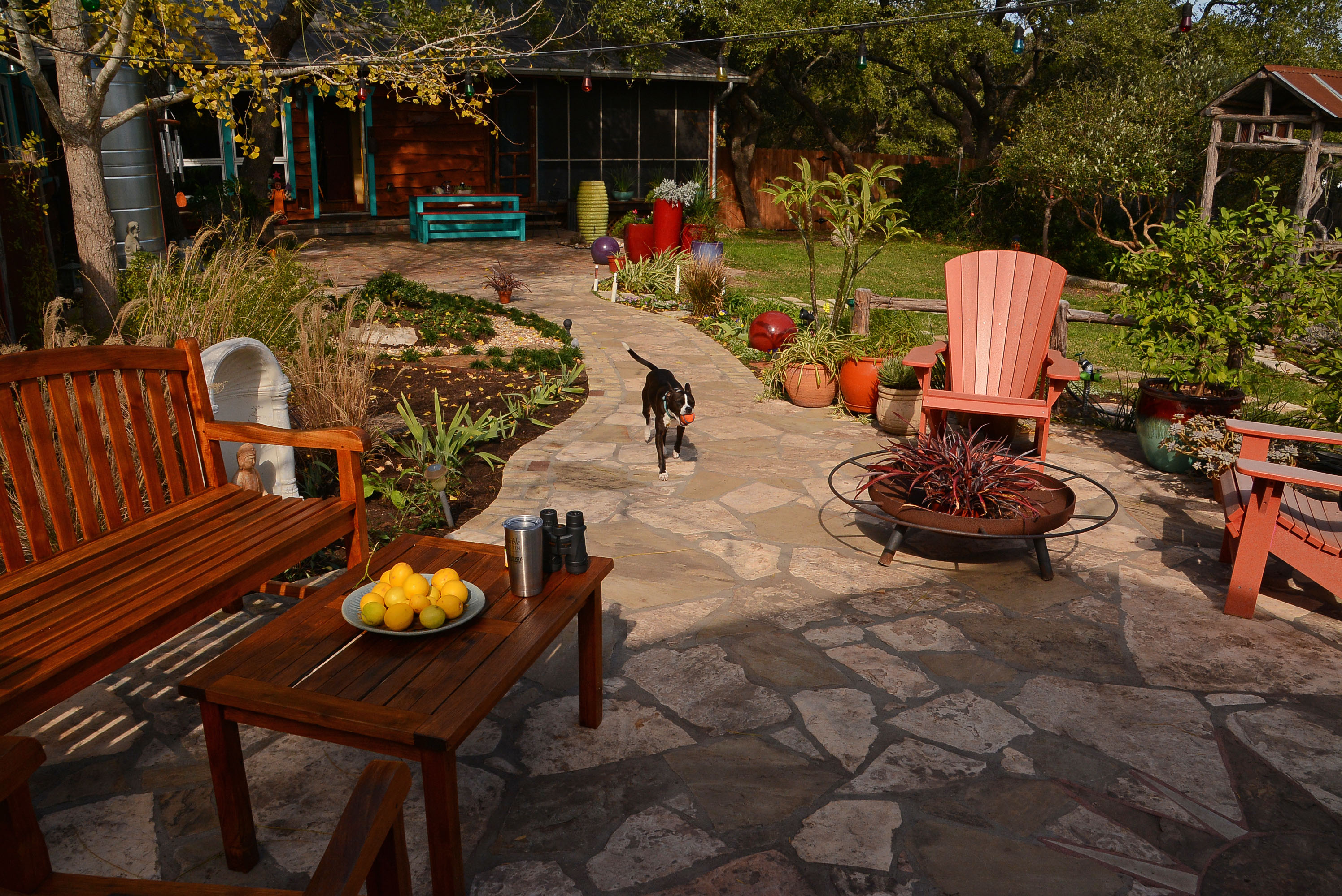 Flagstone path patio cute dog Lobo Central Texas Gardener