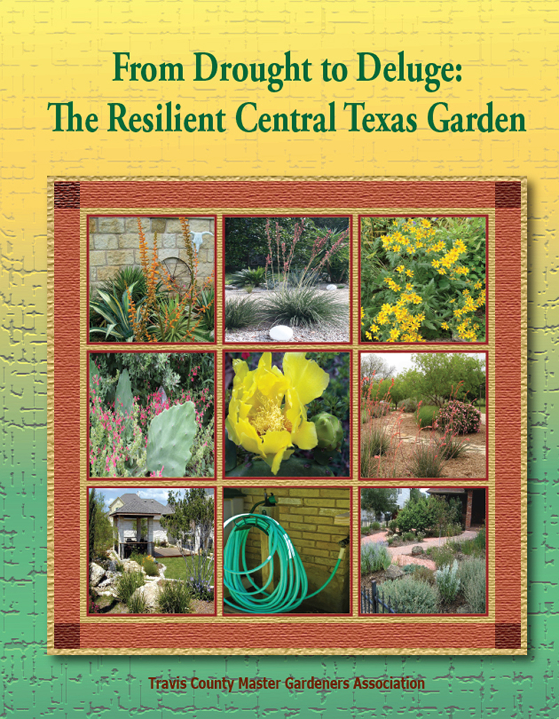 Drought to Deluge: The Resilient Central Texas Gardener 