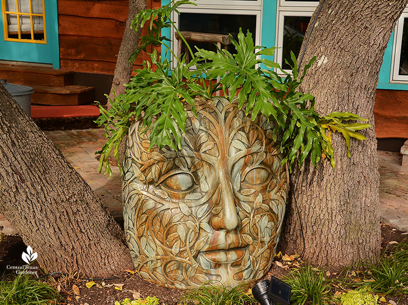 artistic planter woman's face John and Jane Dromgoole garden Central Texas Gardener