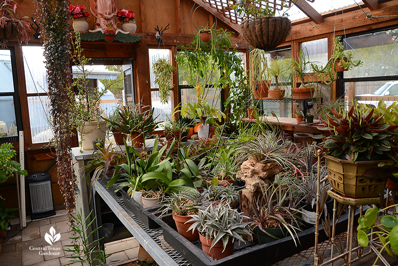 greenhouse charming design succulent plants tropicals Jane and John Dromgoole Central Texas Gardener