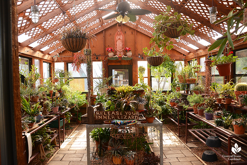 greenhouse lattice sun break Jane and John Dromgoole garden Central Texas Gardener