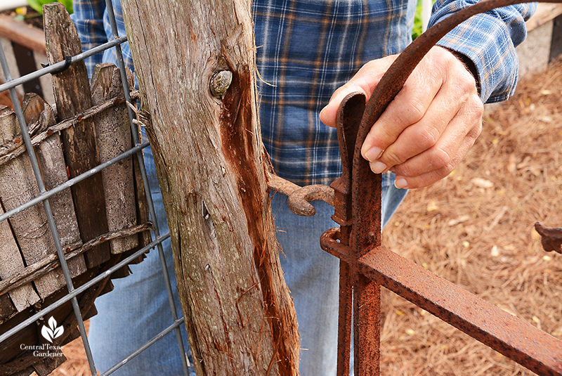 old wrench for clever gate latch Jane and John Dromgoole garden with David Stalker Central Texas Gardener