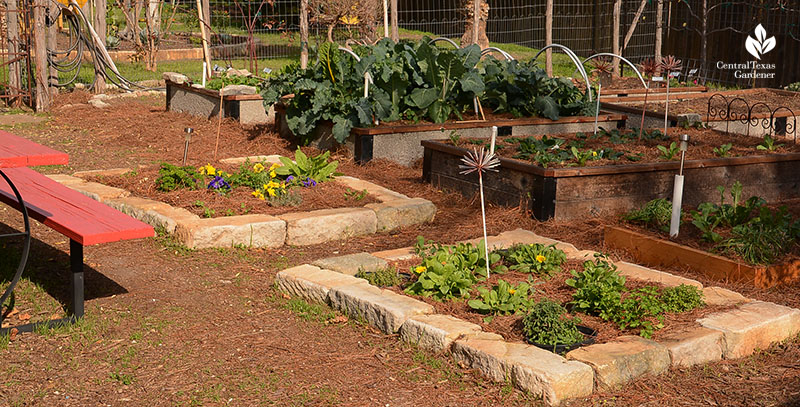 vegetable garden raised beds stone composite wood John and Jane Dromgoole Central Texas Gardener