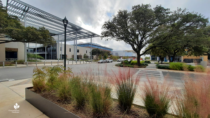 ACC Highland Mall, Austin PBS studios Jacob Fontaine Plaza Central Texas Gardener