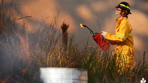 Jack Rouse Half-Pint Prairie control burn University of Texas_Central Texas Gardener