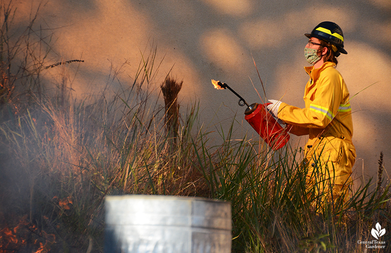 Jack Rouse Half-Pint Prairie control burn University of Texas_Central Texas Gardener