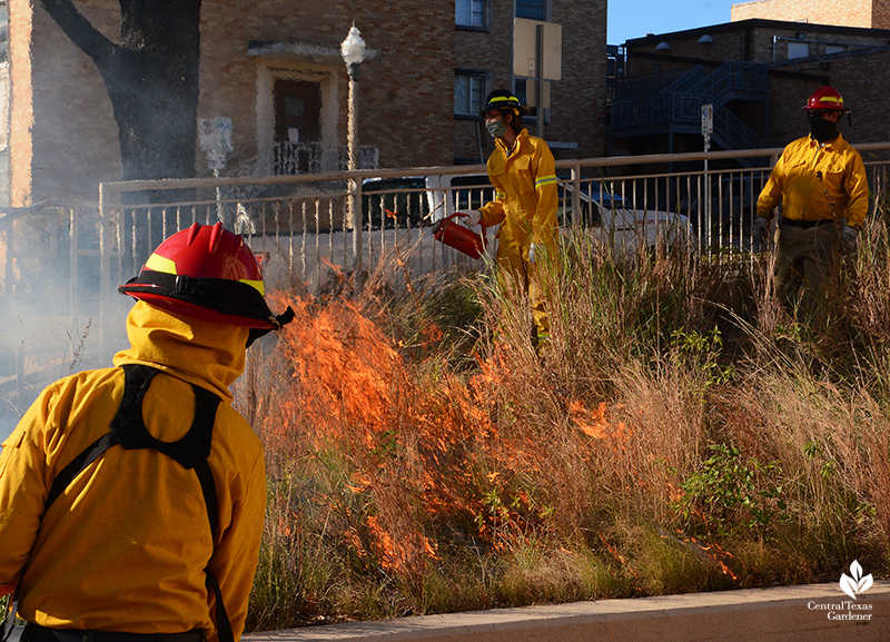 Prescribed fire start Half-Pint Prairie Jack Rouse and Matt O'Toole Central Texas Gardener