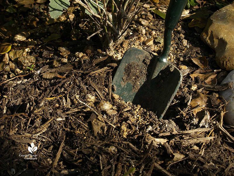 soil, compost, mulch
