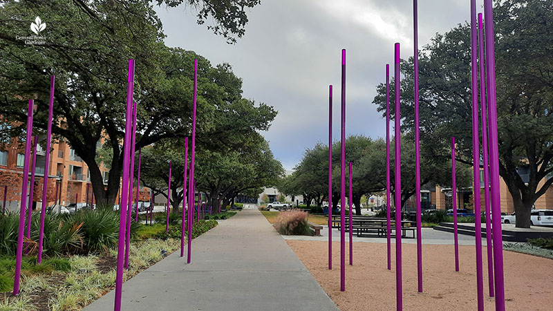 Thicket sculpture purple poles ACC Highland Central Texas Gardener