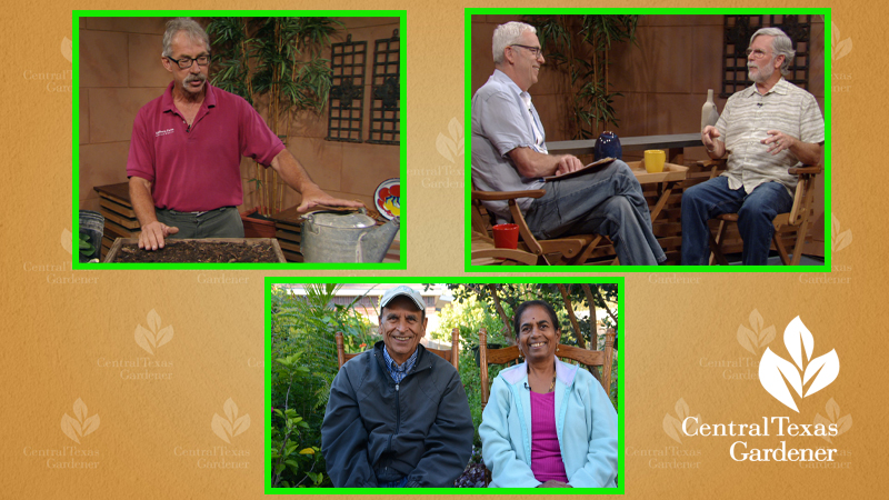 Tim Miller, Forrest Arnold, Tom Spencer, Venkappa and Ratna Gani Central Texas Gardener