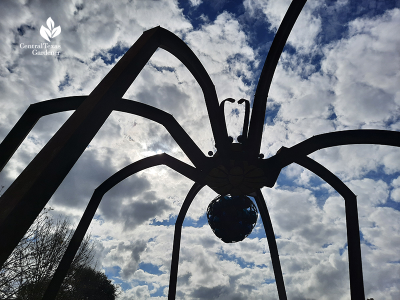 "Arachnophillia" spider sculpture Dixie Friend Gay Mueller living Central Texas Gardener