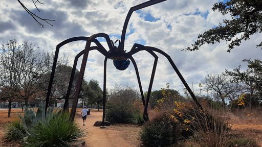 Arachnophillia spider sculpture Dixie Friend Gay native plants Mueller development Central Texas Gardener