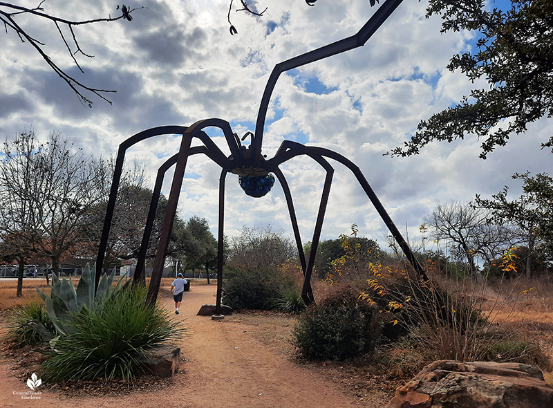 Arachnophillia spider sculpture Dixie Friend Gay native plants Mueller development Central Texas Gardener