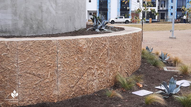 Champions Quarry limestone wall planter Jessie Andrews Park Mueller Central Texas Gardener