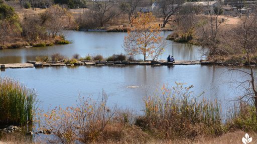 Native grasses trees Mueller retention pond winter colors Central Texas Gardener