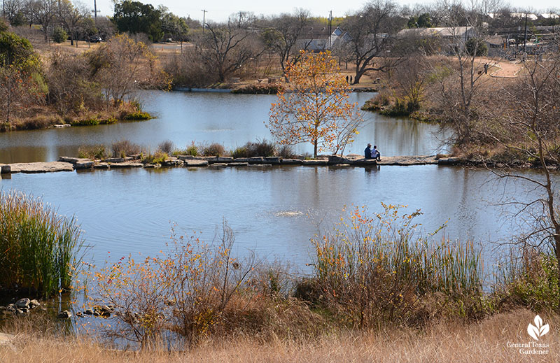 Native grasses trees Mueller retention pond winter colors Central Texas Gardener