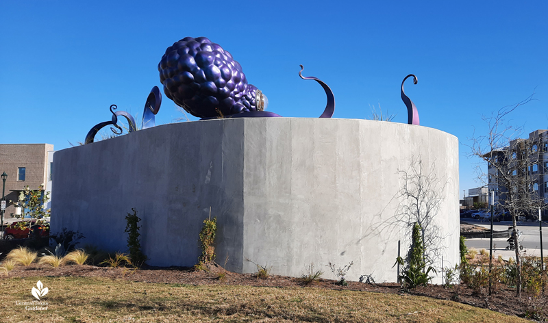 Ocho octopus Dixie Friend Gay sculpture Jessie Andrews Park back view Central Texas Gardener