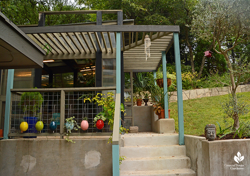 contemporary small greenhouse design Harper Duhon Central Texas Gardener