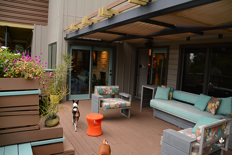 contemporary upstairs deck with planters Harper Dujon design Central Texas Gardener
