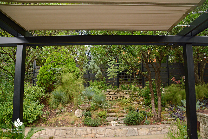 rocky slope hillside succulents yucca perennials small trees drought design Harper Duhon Central Texas Gardener