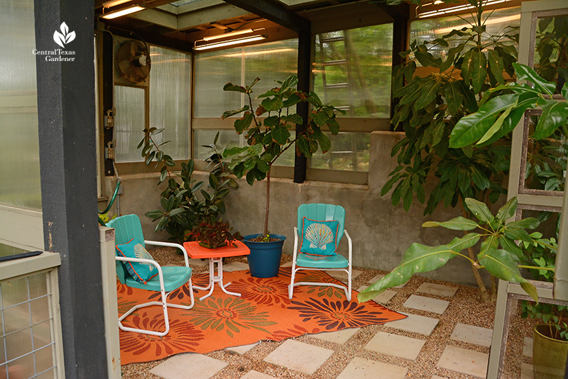 small greenhouse interior design cozy chairs Duhon Harper Central Texas Gardener