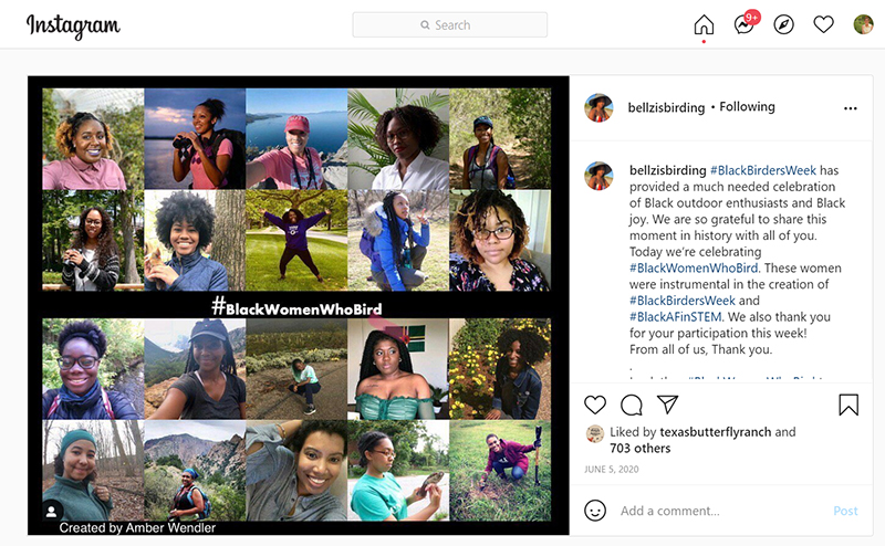 Bellzisbirding Black Women Who Bird Danielle Belleny instagram Central Texas Gardener