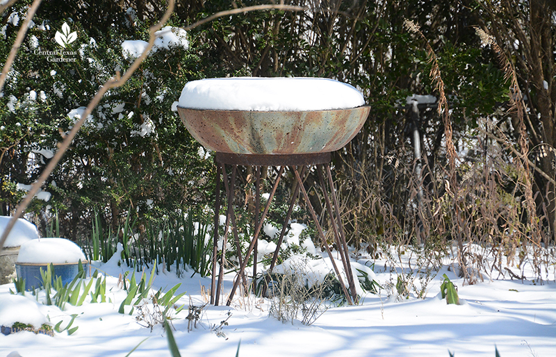 Birdbath snow cone top snow day Austin Central Texas Gardener