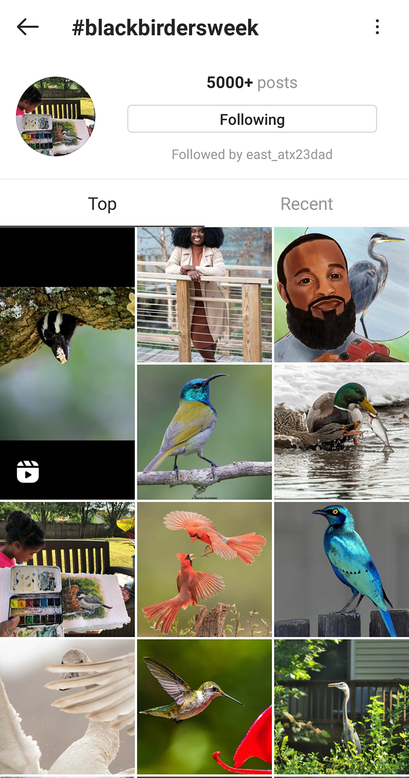 Black Birders Week Instagram Central Texas Gardener