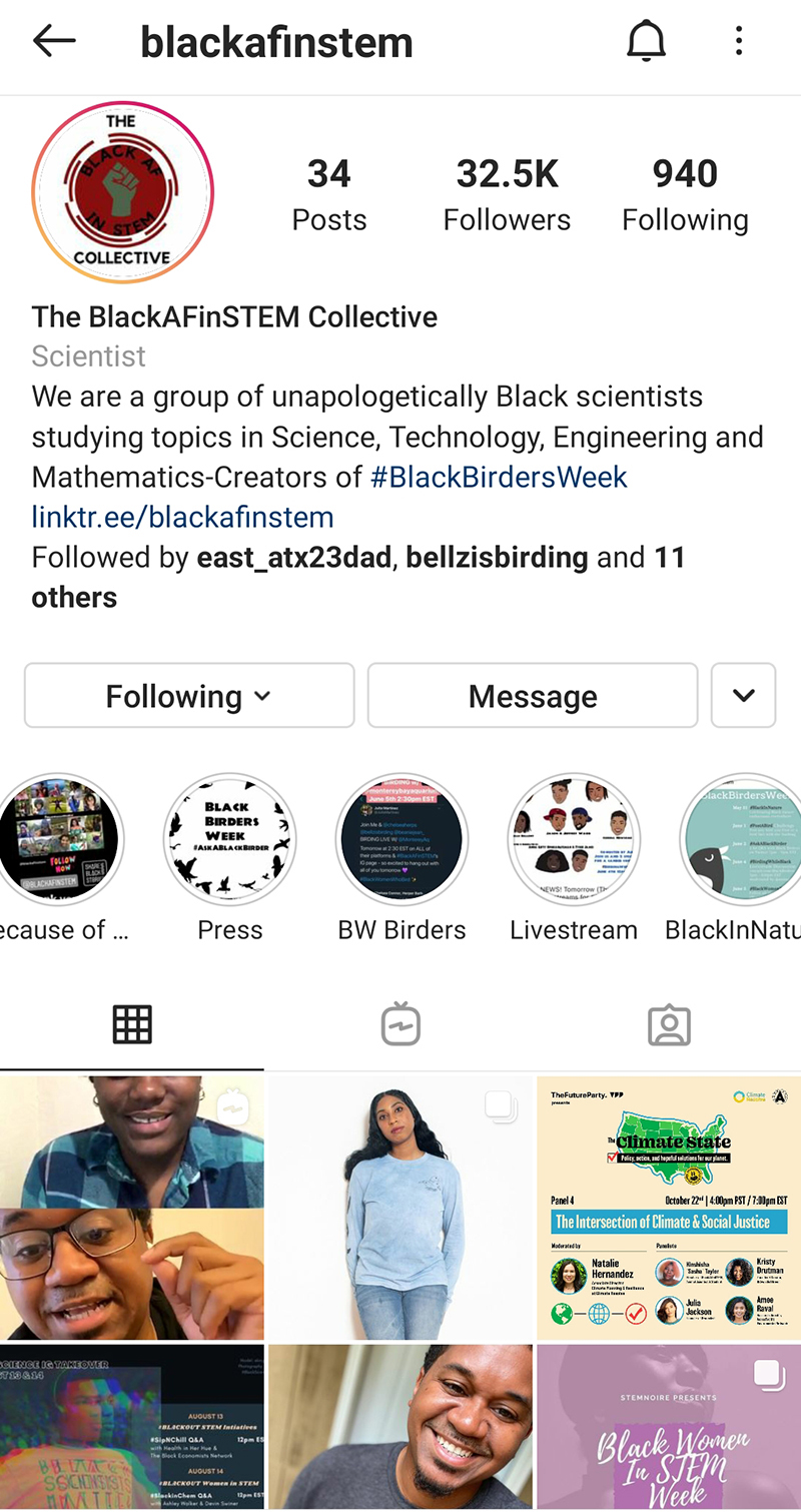 BlackAFinStem Central Texas Gardener