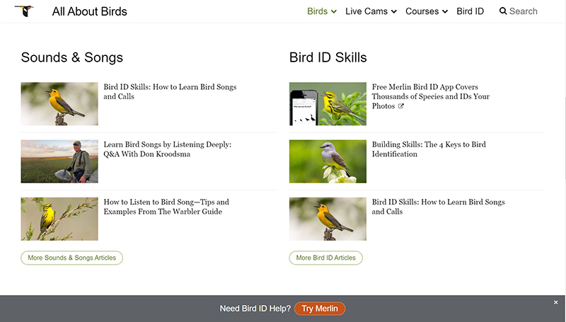 Cornell Lab bird identification resources Central Texas Gardener