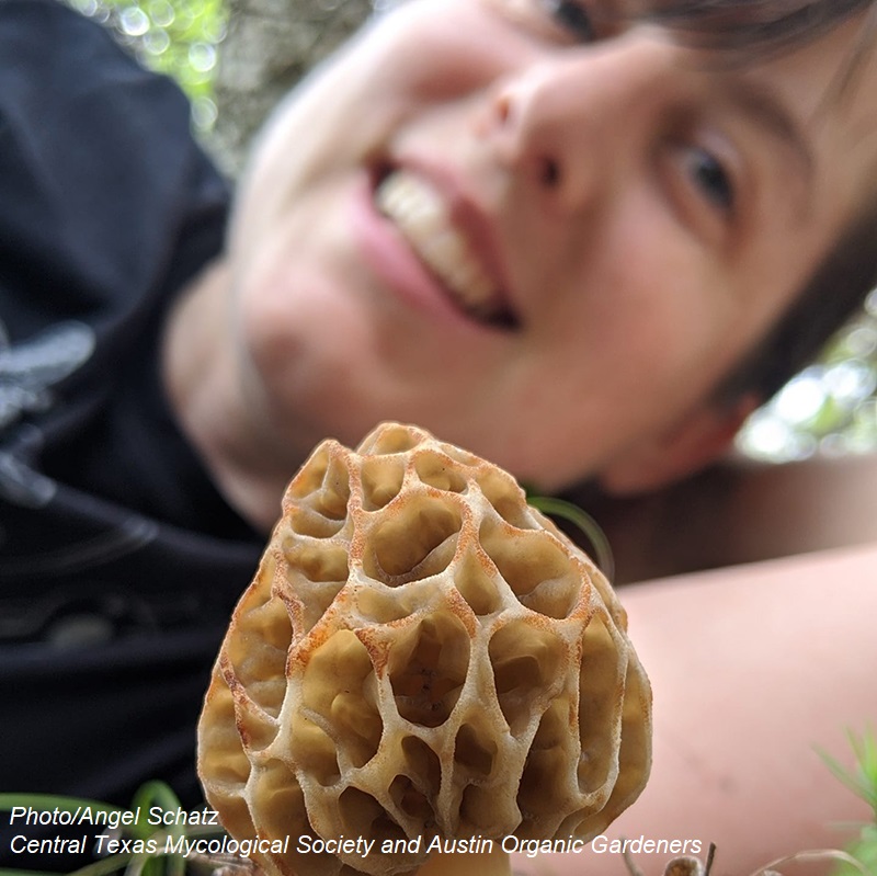 Angel Schatz with Texas morel Central Texas Gardener