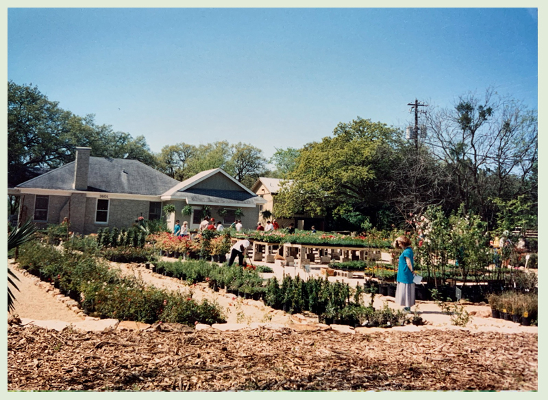 Barton Springs Nursery Bee Caves Road 1990s photo by Bernardine and Conrad Bering