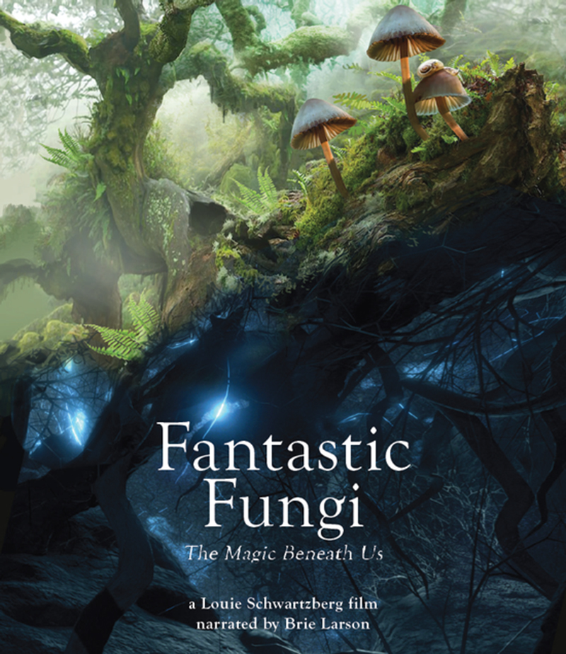 Fantasti Fungi