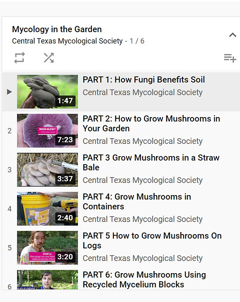 Mycology in the Garden video series Central Texas Mycological Society and Austin Organic Gardeners