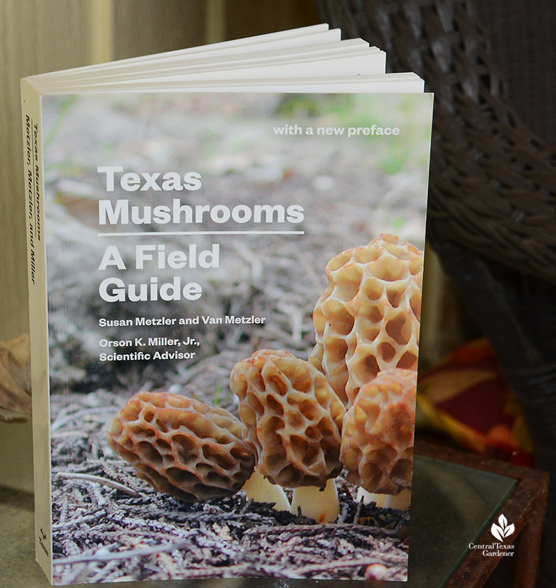 Texas Mushrooms A Field Guide Central Texas Gardener