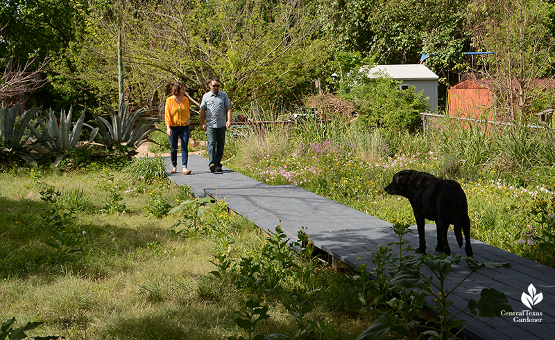 pocket prairie design native grasses and flowers John Hart Asher Bonnie Evridge Central Texas Gardener