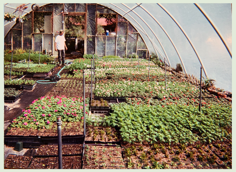 propagating plants Barton Springs Nursery photo by Bernardine and Conrad Bering