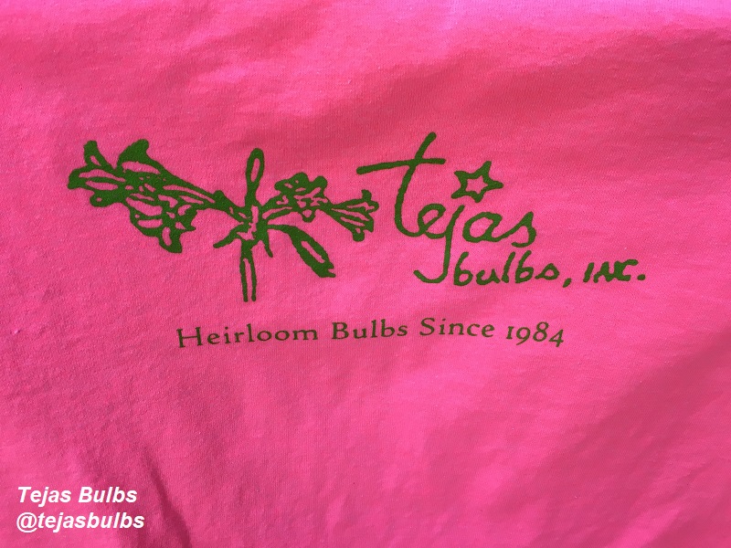 T-SHIRT TEJAS BULBS