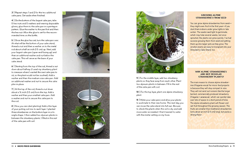 cake pan small container design Alpine strawberries from Micro Food by Jen McGuinness Central Texas Gardener