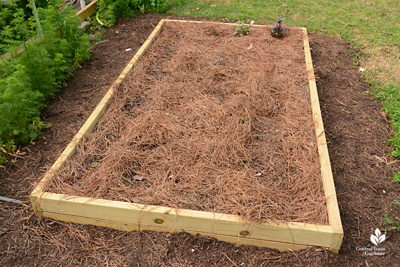 pine straw mulch in raised bed La Otra Flora Laura Brennand 