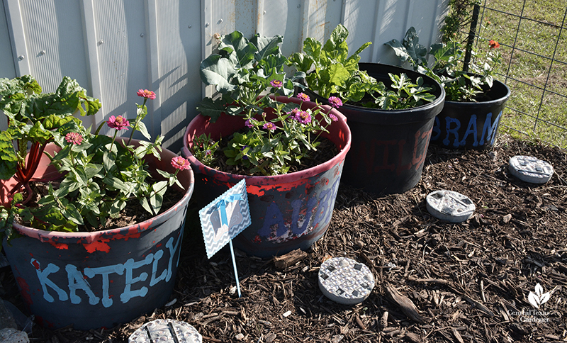 small container gardens for kids Bernsen garden Central Texas Gardener